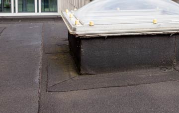 disadvantages of The Down flat roofs
