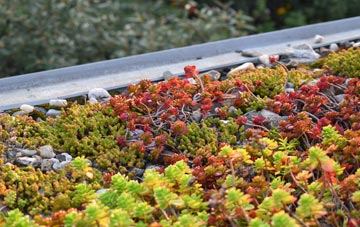 the cost of The Down green roof installation