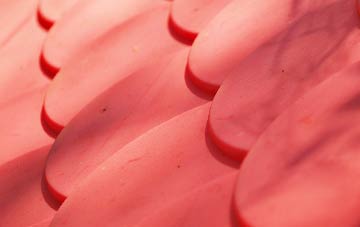 The Down plastic roof costs