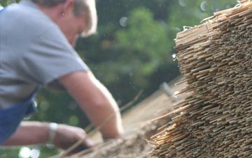 professional The Down thatchers