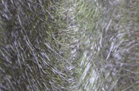 The Down fibreglass roof work